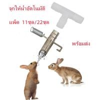 ราคา ซื้อ10แถม1 ที่ให้น้ำหนู ที่ให้น้ำกระต่าย ที่ให้น้ำอัตโนมัต จุกให้น้ำอัตโนมัติ จุกให้น้ำหนูนา ให้น้ำสัตว์เลี้ยงอัตโนมัติ จุกน้ำหนูพุก (13890980283)