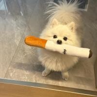 ราคา VOA ของเล่นสัตว์เลี้ยงสำหรับสุนัข ออกเสียง ทนทาน (25193780915)