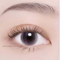 ราคา คอนแทคเลนส์ Mini bom Gray Brown Kitty Kawaii ขนาดมินิ (16975568293)