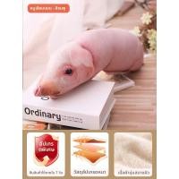 ราคา JIFANPAUL หมอนอิงตุ๊กตาหมูน่ารักสำหรับเด็กผู้หญิง (25497140037)