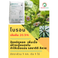 ราคา โบรอน20 5 โบรอนเข้มข้น ปุ๋ยทางใบ ฉีดพ่น ปุ๋ยเกล็ด ปุ๋ยผง ปุ๋ยละลายน้ำ 500กรัม (1433912510)