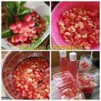 ราคา มะม่วงหาวมะนาวโห่แช่อิ่ม (24609138456)