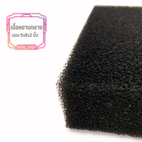 ราคา ฟองน้ำใยบวบ ขัดซุ้มล้อ ขนาด 2 5 8 ฟองน้ำล้างรถเนื้อนิ่ม ฟองน้ำล้างล้อ เนื้อแน่น ละเอียด หยาบ ฟองน้ำทายางแบบหนา ฟองน้ำดำ (15044117462)