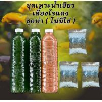 ราคา ชุดเพาะน้ำเขียว แถมไข่ไรแดงมาโคร อามิ ชุดอาหารไรแดง หัวเชื้อน้ำเขียวสาหร่ายคอลเรล่า คอลเรล่าเข้มข้น ไรแดง ชุดเพาะไรแดง (25448669284)