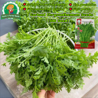 ราคา ตั้งโอ๋ไทย ตั้งโอ๋ญี่ปุ่นชุนจิกุ Thai Japanese Shungiku Garland Chrysanthemum Seeds เมล็ดพันธุ์ตั้งโอ๋ ตั้งโอ๋ บรรจุ 500 เมล็ด Organic Vegetable Seeds for Planting ผักสลัดร็อคเกต เมล็ดพันธุ์แท้ OP เมล
