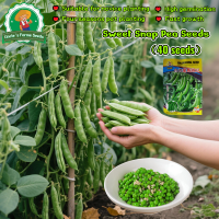 ราคา บรรจุ 40 เมล็ด เมล็ดพันธุ์ ถั่วหวาน ถั่วลันเตาหวาน Sweet Pea Seeds for Planting Vegetables Plants Organic Vegetable Seeds เมล็ดถั่วหวาน F1 เมล็ดพันธุ์ผัก ผักสวนครัว ผักออร์แกนิก พันธุ์ผัก เมล็ดผัก เมล