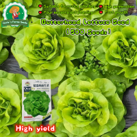ราคา เมล็ดพันธุ์ ผักสลัด เบบี้คอส 1 ซอง 100 เมล็ด Green Baby Cos Hydroponics Butterhead Lettuce Seeds for Planting Vegetables Plants มินิคอส ใบกรอบสีเขียว ทรงห่อหัว เมล็ดพันธุ์ผัก ผักออแกนิค ผักสวนครัว บอน