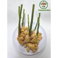 ราคา ขิงอ่อน สด สะอาด รับประกันคุณภาพ (14978479303)