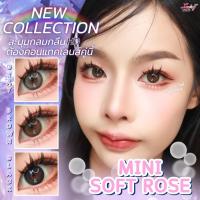 ราคา คอนแทคเลนส์ Limited Mini Soft Rose ขนาดมินิ Luxzylens Brown Gray Black (24333935245)