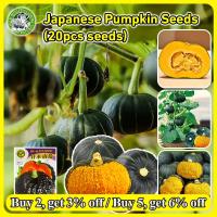 ราคา เมล็ดสด100 เมล็ดพันธุ์ ฟักทองญี่ปุ่น Japanese Pumpkin Seeds for Planting Vegetable Plants เมล็ดฟักทองญี่ปุ่น Japanese Pumpkin Seed 20เมล็ด ซอง เมล็ดพันธุ์ฟักทองญี่ปุ่น Vegetable Plants เมล็ดพันธุ์ผัก 
