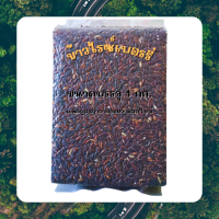 ราคา Chotika ข้าวเหนียวดำ ข้าวไรซ์เบอรี่ ข้าวกล้อง3สี ข้าวกล้องหอมมะลิ ข้าวเหนียวดำลืมผัว ข้าวสารออแกนิค กันโรคเหน็บชา ต้านอนุมูลอิสระ แพคสูญญากาศ ขนาดบรรจุ 1กก (23165702660)