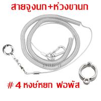 ราคา CoralCove ชุด2อย่าง สายจูงนกพร้อมห่วงนก ห่วงขานก ฟอพัส หงษ์หยก เลิฟเบิร์ด ค๊อกคาเทล กรีนชีค ตระกูลคอนัวร์ ซันคอนัวร์ นกเอี้ยง ของเล่นนกแก้ว (21446214823)