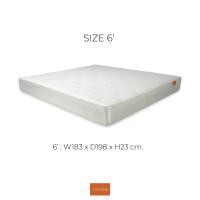 ราคา ZEN Collection ที่นอนสปริง 9 นิ้ว CHEDDAR โครงสร้าง Bonnell Spring ขนาด 3 5 ฟุต 5 ฟุต 6 ฟุต Spring Mattress (16473821834)