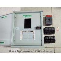 ราคา Schneider QO3 100EZ12G SN ตู้โหลดเซ็นเตอร์ 12 ช่องพร้อมเมน 3P 100A ลูกย่อยครบชุด เลือกแอมป์ได้ครับ (8042355281)
