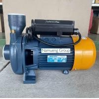 ราคา ปั๊มน้ำหอยโข่งไฟฟ้า ปั๊มน้ำ Bruco รุ่น BR250 2X2 นิ้ว 2 5 HP ARENO รุ่น QS2M 2x2 นิ้ว 2 5 HP งานสวนเกษตรผักผลไม้ งานประปาหมู่บ้าน ส่งขึ้นอาคารสูง ใบพัดทองเหลือง ขดลวดทองแดงแท้100 ไฟ220V (24729066895)