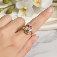 ราคา แหวนพลอยแฟนซีทัวมารีน Fancy Tourmaline ล้อมเพชรCZ เรือนเงินแท้ 92 5 ชุบนาก ไซด์นิ้ว 59 เบอร์9US สินค้ามีใบรับประกัน (25201514989)