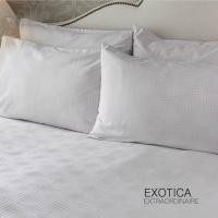 ราคา EXOTICA ชุดผ้าปูที่นอน ปลอกหมอนหนุน ลาย Up and Away rose ขนาด 6 ฟุต คิงไซส์ (24517515877)