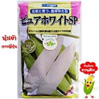 ราคา ทำมะชาดฟาร์ม ซองญี่ปุ่นแท้ มีคู่มือ เมล็ดพันธุ์ ข้าวโพดเพียวไวท์ SP ข้าวโพดฮอกไกโด ข้าวโพดทานสด ข้าวโพดกินดิบ ข้าวโพดนมสด (527866012)