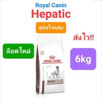 ราคา Royal Canin Hepatic 6kg โรยัลคานิน สุนัขโรคตับ หมาโรคตับ ค่าตับสูง ถุงขนาด 6 กิโลกรัม (16492210514)