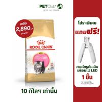 ราคา PETClub Royal Canin Persian Kitten ลูกแมว พันธุ์เปอร์เซีย 4 ขนาด 400g 2kg 4kg 10kg (13057434873)