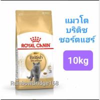 ราคา Royal Canin British Shorthair Kitten 10kg British Shorthair Adult 10kg โรยัลคานิน อาหาร แมวโต ลูกแมวบริติช 10 กก (16547515206)