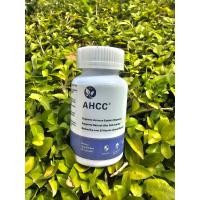 ราคา AHCC Supplement Maximum Strength 1000 mg 60 capsules (26268402712)