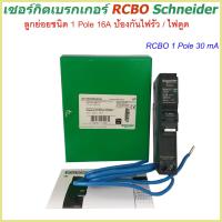 ราคา เซอร์กิตเบรกเกอร์ RCBO 1 Pole 10A 50A 30mA ป้องกันไฟรั่ว ไฟดูด Schneider Circuit Breaker Earth leakage กันดูด RCBO Schneider earth leakage circuit breaker เบรกเกอร์กันดูด ลูกเซอร์กิตกันดูด ลูกกันดูด 1