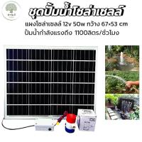 ราคา ชุดปั้มน้ำโซล่าเซลล์ DC 12v 50W ปั้มน้ำโซล่าเซลล์พร้อมใช้งานและชุดแปลงไฟมีสวิตช์ ปิด เปิด (22360393948)