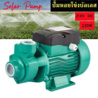 ราคา QB60 ไดโว่โซล่าเซล24v ปั้มอัตโนมัติ 24V DC ปั้มน้ำโซลาเซล ปั้มน้ำdc24vบัสเลส ปั๊มหอยโข่ง dc solar Solar Water Pump self priming booster pump ปั้มโซล่าเซลล์ (15641551339)