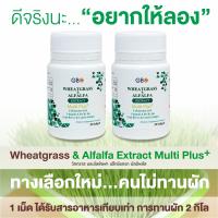 ราคา ขายราคาส่ง ผักเม็ด 2 กระปุก 60 เม็ด Wheatgrass Alfalfa Extract Multi Plus Q10 (10542803512)