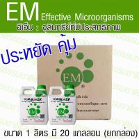 ราคา EM อีเอ็มหัวเชื้อ ขนาด 1 ลิตร จุลินทรีย์ที่มีประสิทธิภาพ บรรจุกล่อง 20 ลิตร อีเอ็มของแท้ 100 ดร ฮิหงะ (13296584631)