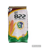 ราคา เมล็ดพันธุ์ข้าวโพดเลี้ยงสัตว์ GT 822 เม็ด 3 5 หุน ขนาด 10 กก (19550589153)