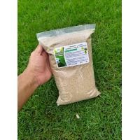 ราคา เมล็ดหญ้าพาสพาลัม 1 กิโลกรัม เหม็ดหญ้าสนาม หญ้าพาสพาลัม (24696512653)