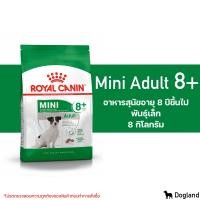 ราคา Royal Canin Mini Adult 8 อาหารสุนัขสูงวัย พันธุ์เล็ก (14152002587)