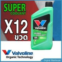 ราคา คูลแลนท์ วาโวลีน Valvoline SUPER COOLANT ขนาด 1 ลิตร น้ำยารักษาหม้อน้ำ สีเขียว 1 ลัง 12 ขวด (1324072120)