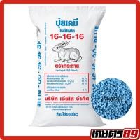 ราคา ยกกระสอบ 50กก ปุ๋ยเคมี สูตรเสมอ 16 16 16บลู เม็ดสีฟ้า แคลเซียม3 ตรากระต่าย ของแท้100 พืชผัก พืชสวน พืชไร่ (25383910637)