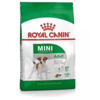 ราคา Royal Canin Mini Adult 8 kg อาหารสุนัขโต ขนาดเล็ก อายุ 10เดือน 8ปี 8 kg (1038056373)
