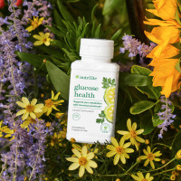 ราคา Nutrilite Glucose Health (23866814185)
