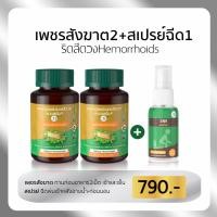 ราคา ยาแผนไทยริดสีดวง เพชรสังฆาต ริดสีดวง ติ่งโผล่ เจ็บ ขับถ่ายคล่อง สมุนไพรริดสีดวง แคปซูลเพชรสังฆาต แก้ริดสีดวง ริดสีดวงทวาร SN9 (24330388879)