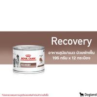 ราคา Recovery น้ำตาล ยกถาดx12 Royal Canin Recovery อาหารสัตว์ป่วย พักฟื้น (24246596277)