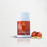 ราคา ถั่งเช่า CORDYCEPS 60 แคปซูล (21358543306)