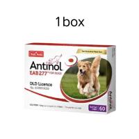 ราคา 3 กล่อง แถม 1 Antinol DOG 60 แคปซูล หมดอายุ 2027 บรรจุภัณฑ์ใหม่ อาหารเสริมบำรุงข้อต่อ ข้ออักเสบ 1 กล่องมี 60 เม็ด (126225361751)