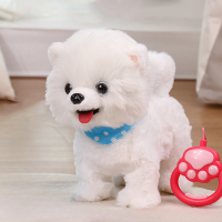 ราคา Tech Toy ของเล่นเด็ก น่ารัก พูดได้เดินได้ ปลอดภัยไม่เป็นพิษ หุ่นยนต์สุนัขของเล่นเด็ก ฝึกพัฒนาการเด็ก 3 8 ปี สมจริง ของขวัญ (25887646358)