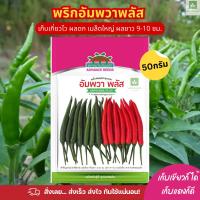 ราคา พริกขี้หนู อัมพวาพลัส เมล็ดพันธุ์พริก พริกอัมพวา 50กรัม ตะวันต้นกล้า พริกอัมพวา (22524217757)