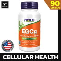 ราคา Now Foods EGCg Green Tea Extract 400 mg 90 Veg Capsules นาวฟู้ดส์ กรีนที สารสกัดจากชาเขียวแท้ สารต้านอนุมูลอิสระ (24824390755)