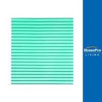 ราคา HomePro แผ่นโพลีคาร์บอเนตแบบใส 122x244x0 6 ซม สีเขียว แบรนด์ SUNSHIELD (18212490070)