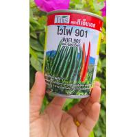 ราคา เมล็ดพันธุ์พริกขี้หนูสวนลูกผสม พริกไวไฟ901 พันธุ์ยอดฮิต ติดตลาด ดอกดก ไม่ร่วงง่าย ผลเรียวสวย เนื้อแน่น สีสด ขั้วผลแน่น เก็บง่าย พริกไวไฟ มาแรง ติดตลาด ขนาด 50 กรัม (26233630340)