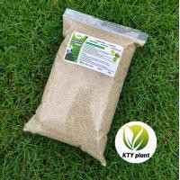 ราคา เมล็ดหญ้าพาสพาลัม 1 กิโลกรัม เหม็ดหญ้าสนาม หญ้าพาสพาลัม (24696512652)