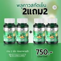 ราคา สาขากทม SN9พลูคาวสกัดเย็น โรคผิวหนัง สะเก็ด คัน เชื้อรา กลากเกลื้อน พลูคาว คาวตอง พลูคาวแคปซูล พลูคาวสมุนไพร พลูคาวแท้ (25157311169)