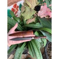 ราคา พระขรรค์เหล็กน้ำพี้100 เหล็กน้ำพี้วัตถุมงคล (9580717243)